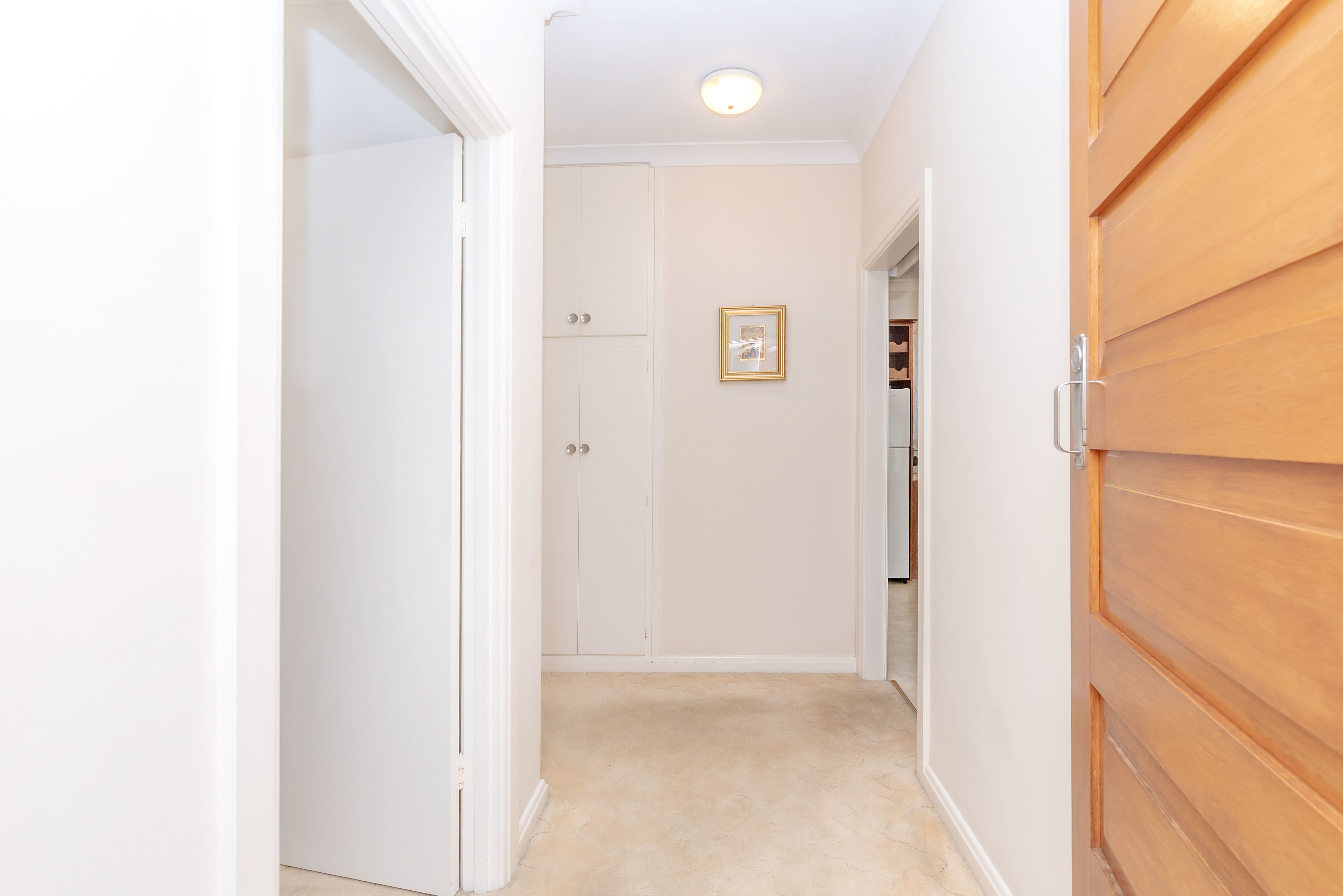 44 Wilpena Avenue Klemzig 5087