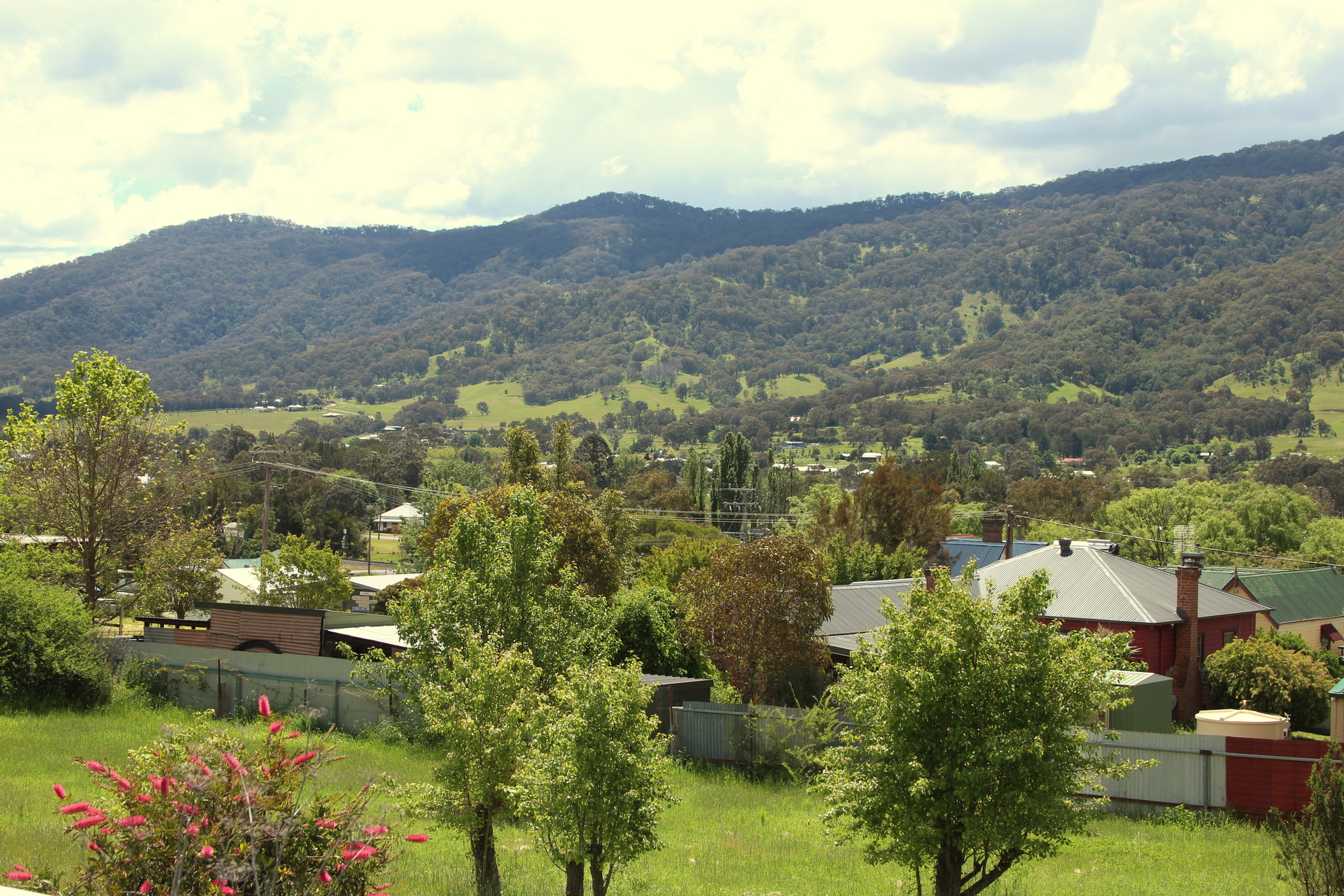 41 O'Connell St, MURRURUNDI, NSW, 2338 House buyMyplace