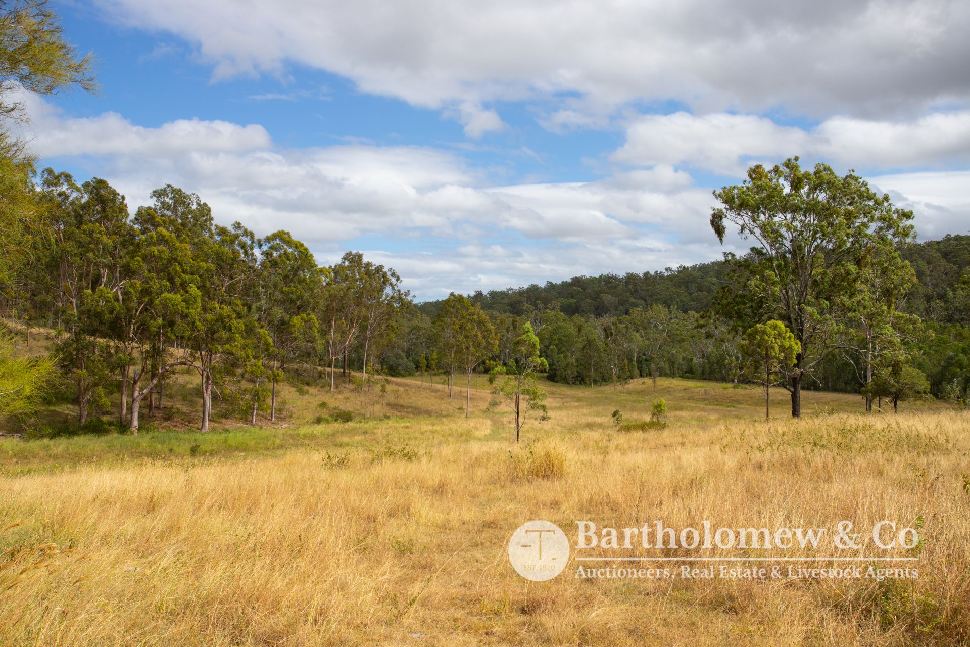 L1/ Schneider Road Allandale QLD, Allandale - Thumbnail 3