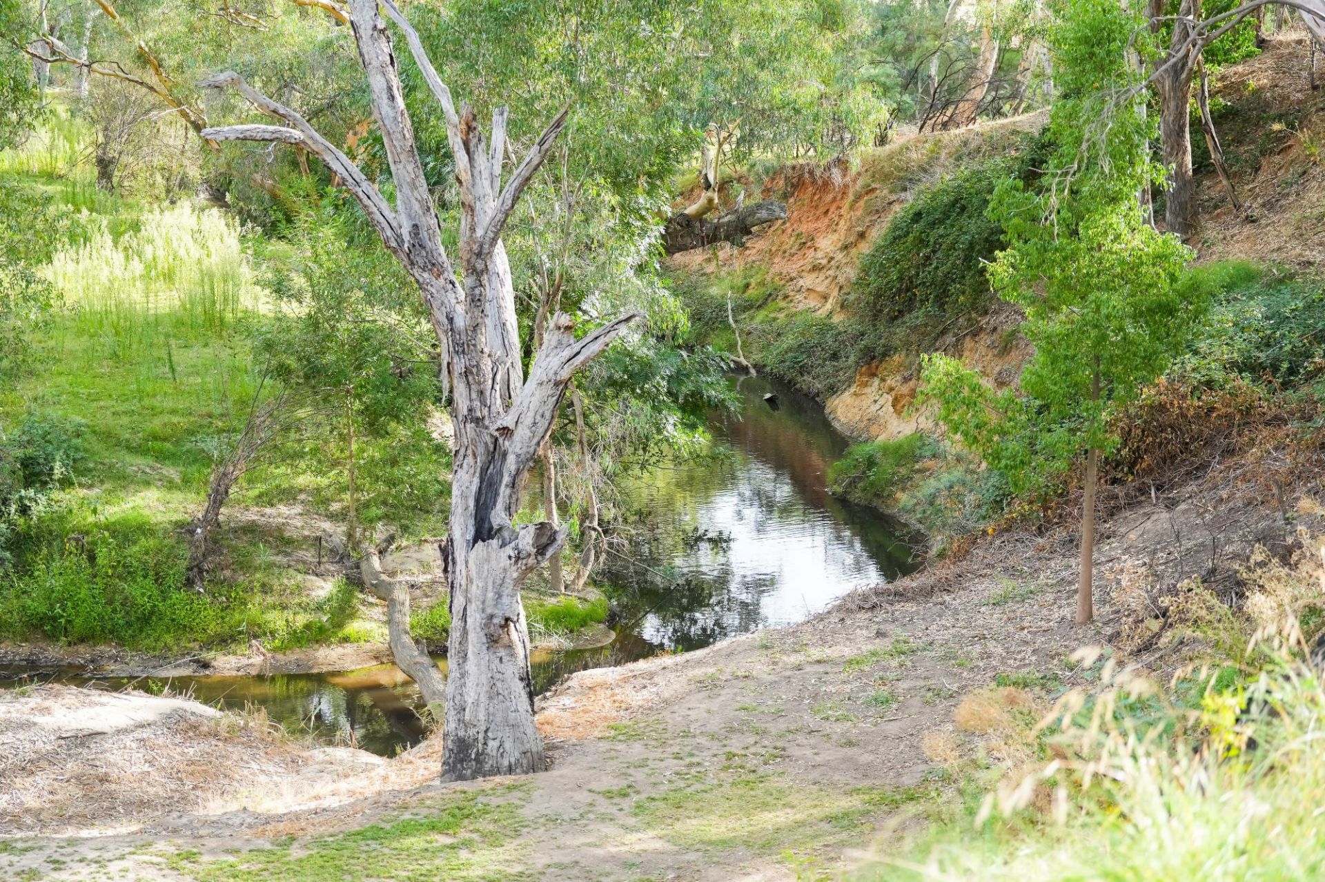 23 Indigo Drive, Barnawartha OBrien Real Estate