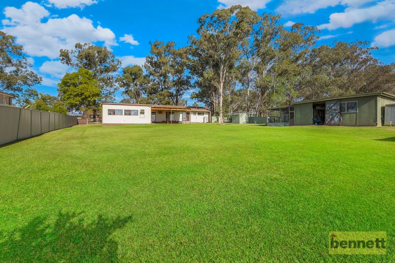 491 Terrace Road, Freemans Reach - Thumbnail 7