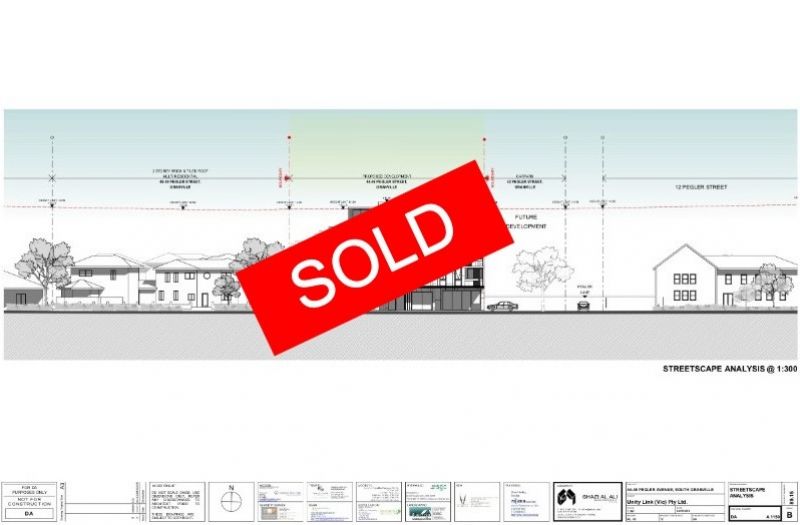 44-46 Peglar Street, South Granville, Granville - Thumbnail 2