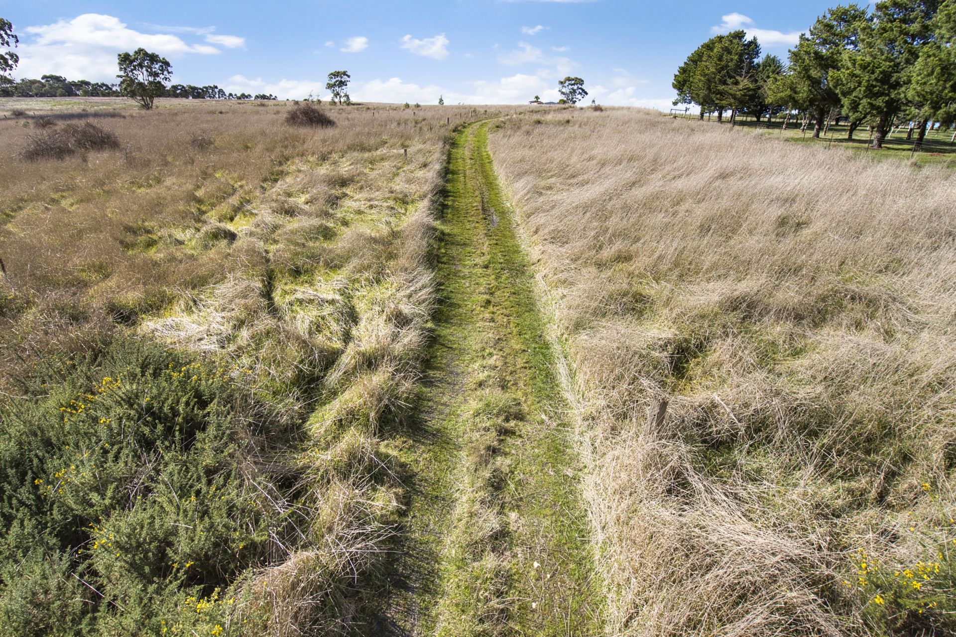 245 Learmonth Road, Clunes, Clunes, Clunes - Thumbnail 3