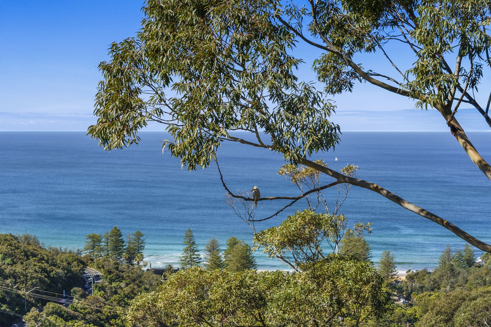 7 The Outlook Bilgola Plateau NSW 2107, 7 The Outlook Bilgola Plateau - Thumbnail 5