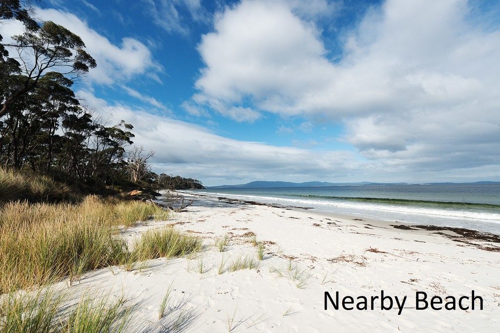 Surveyors bay