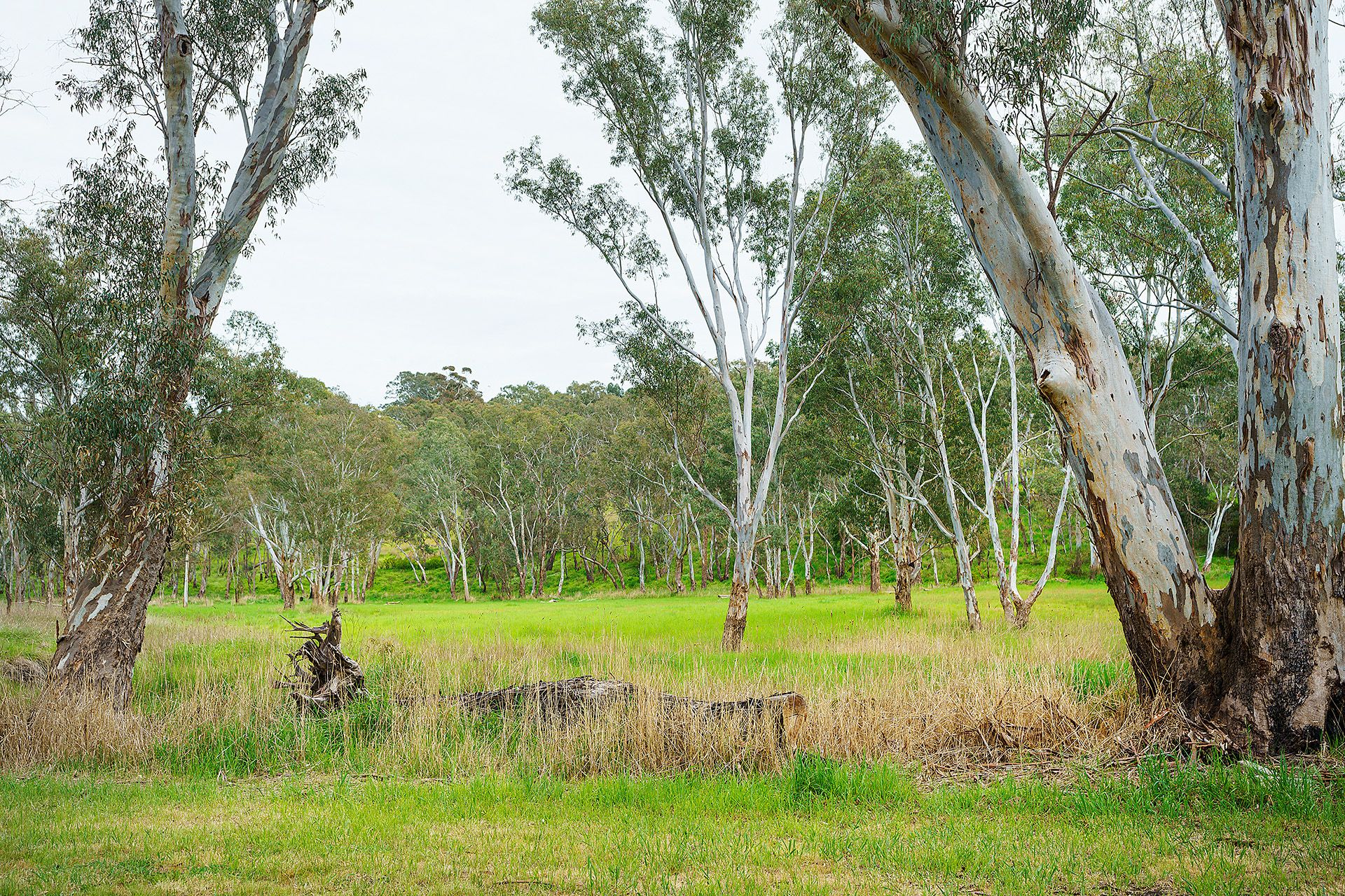 Lot 18/ Harrow-Casterton Road, Harrow VIC 3317