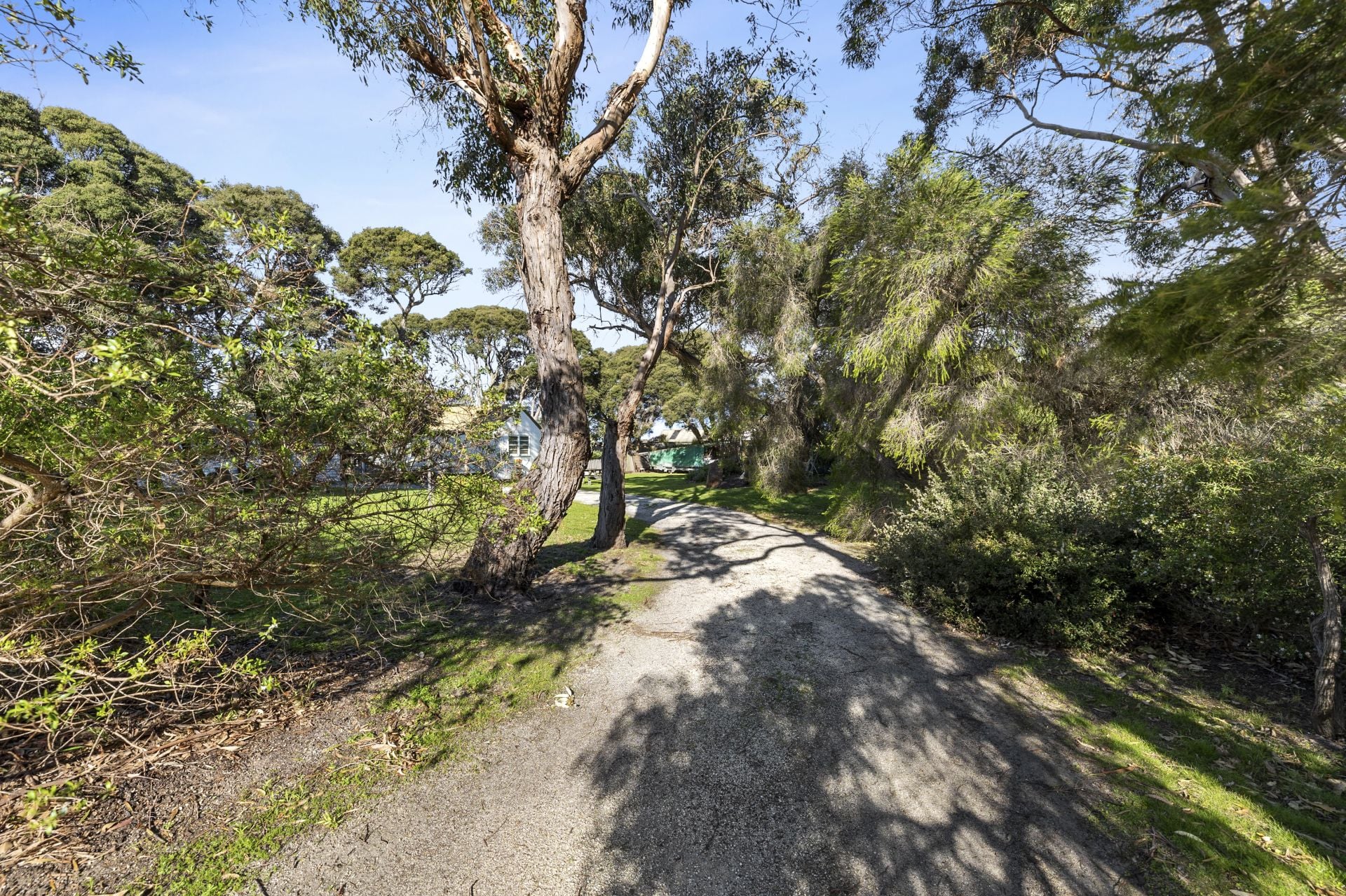 2 Minifie Avenue, Anglesea - Thumbnail 6