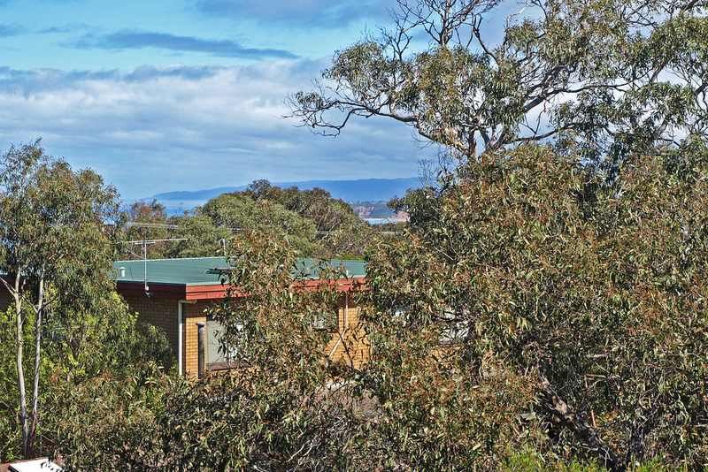 11 Second Avenue, Anglesea, VIC, Anglesea - Thumbnail 3