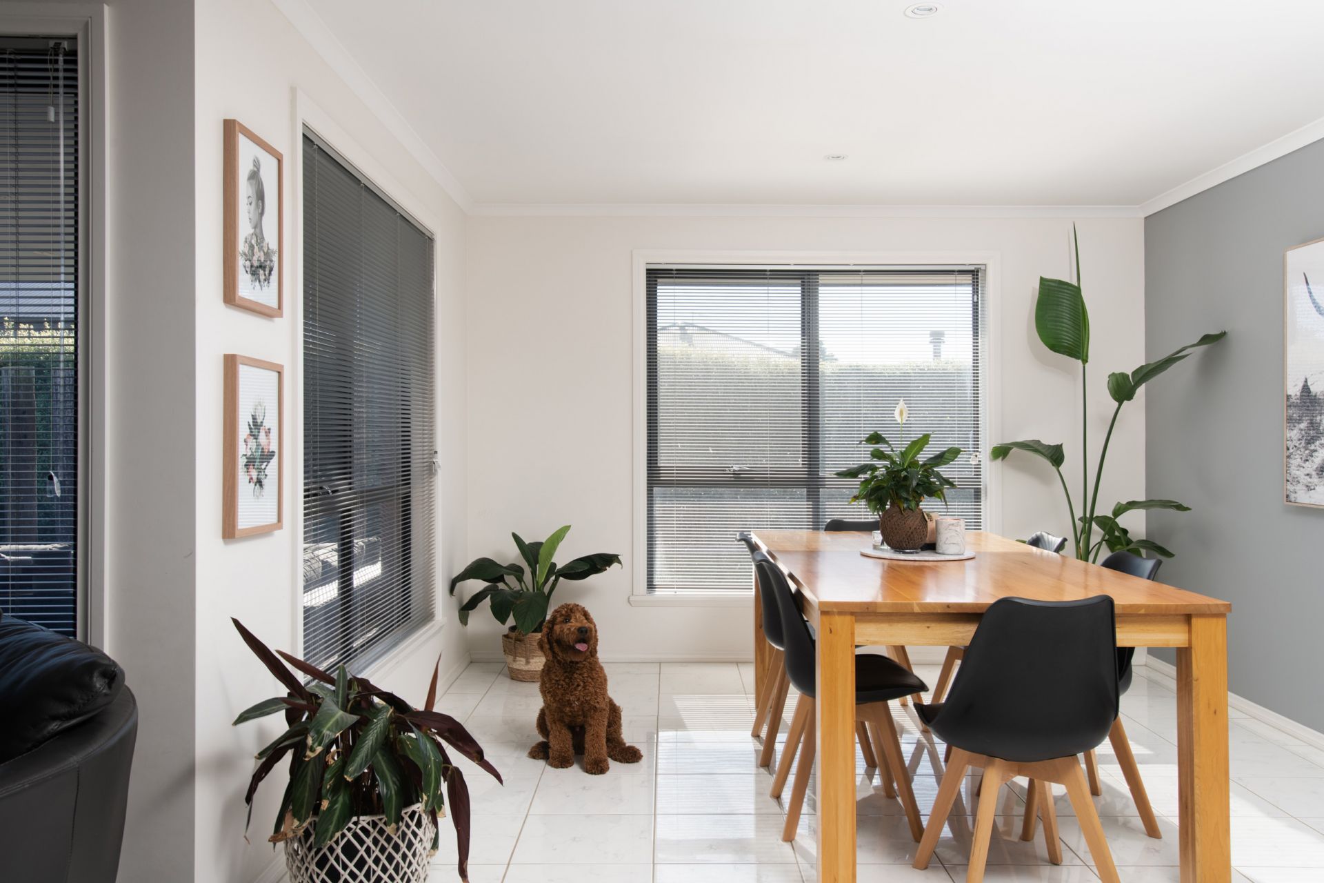 49 Phillip Street PERTH, Perth - Thumbnail 6