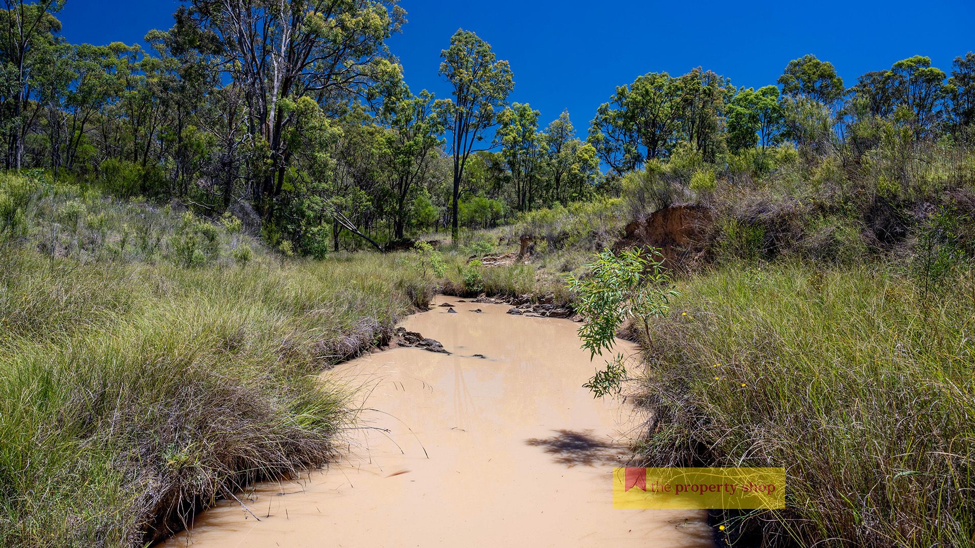 1732 Spring Ridge Road, Gulgong The Property Shop