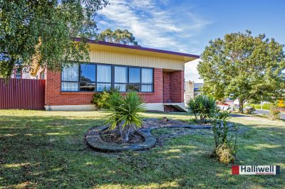 3
 
 
 
  
 
 
 1
 
 
 
 
 
 
 
 
 81 River Road, Ambleside TAS 7310, Ambleside - Thumbnail 3
