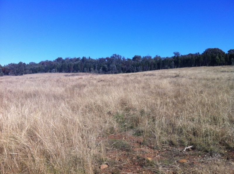 Mudgee The Property Shop