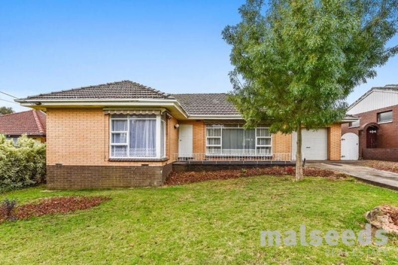 11 Lasiandra Court, Mount Gambier Malseeds Real Estate