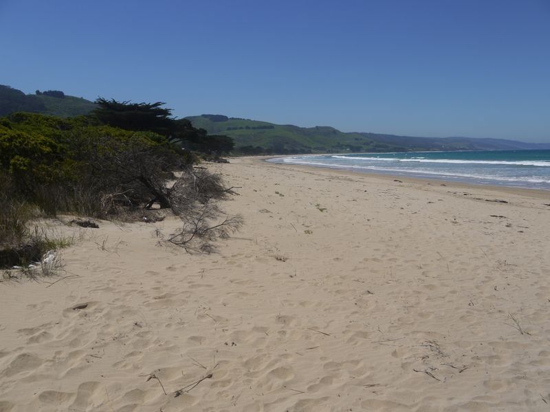Scenic Drive, Apollo Bay, VIC, Apollo Bay - Thumbnail 8