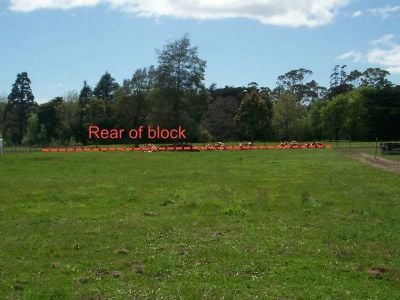 5 Champ Street, LATROBE, Latrobe - Thumbnail 4