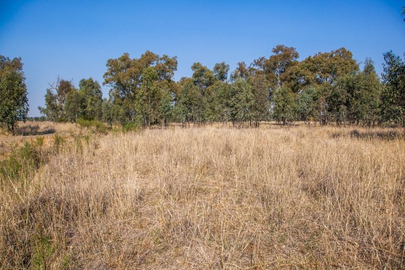 Molkentin Road Jindera NSW, Jindera - Thumbnail 6