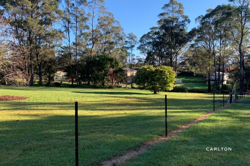 AwardWinning Real Estate Agency Carlton Real Estate