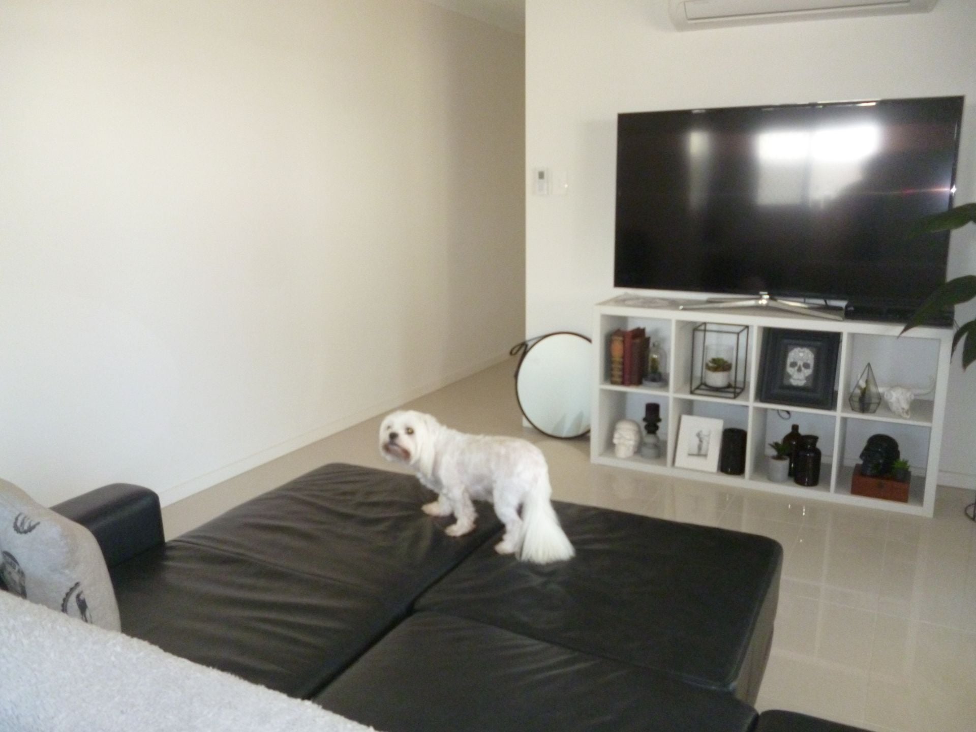 2/5 Honeysuckle Court Buderim QLD, Buderim - Thumbnail 8