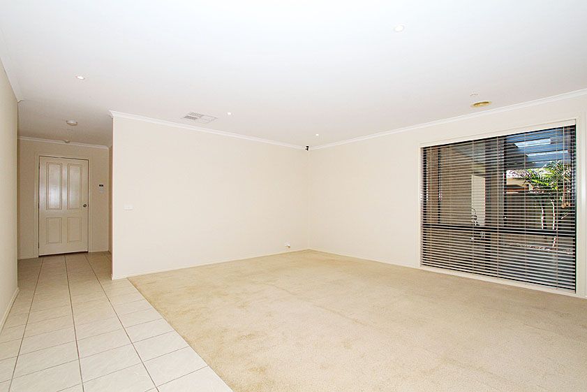 THE PERFECT NEST ON NESTING COURT