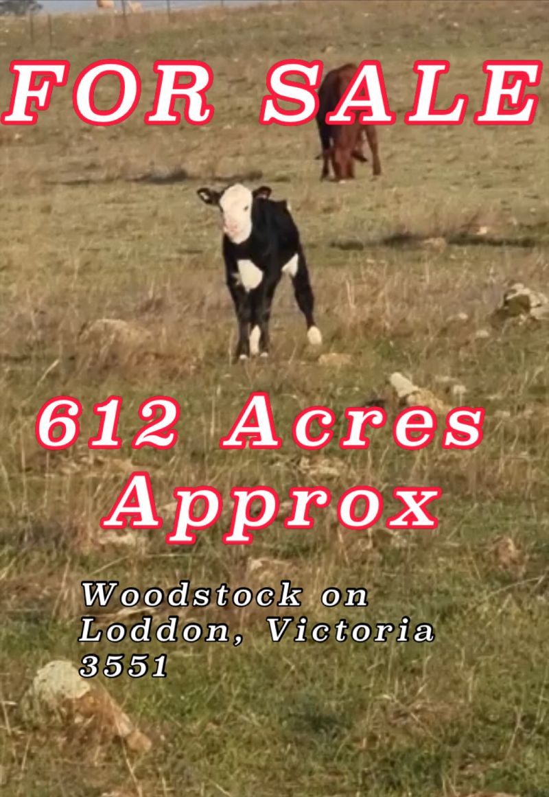 WIMMERA HIGHWAY, Woodstock On Loddon - Thumbnail 2