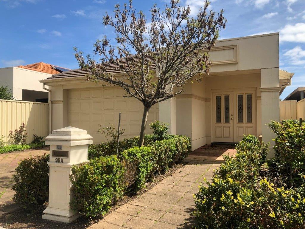 36A  White Avenue Lockleys 5032