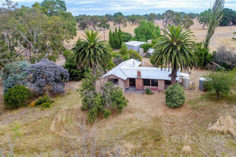 16600 Riddoch Highway, Penola Malseeds Real Estate