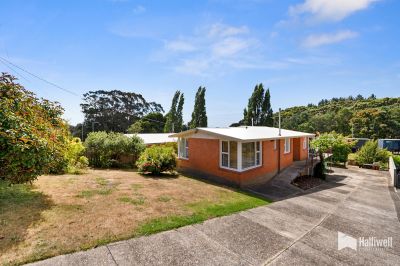 17 Winspears Road, East Devonport, East Devonport - Thumbnail 3