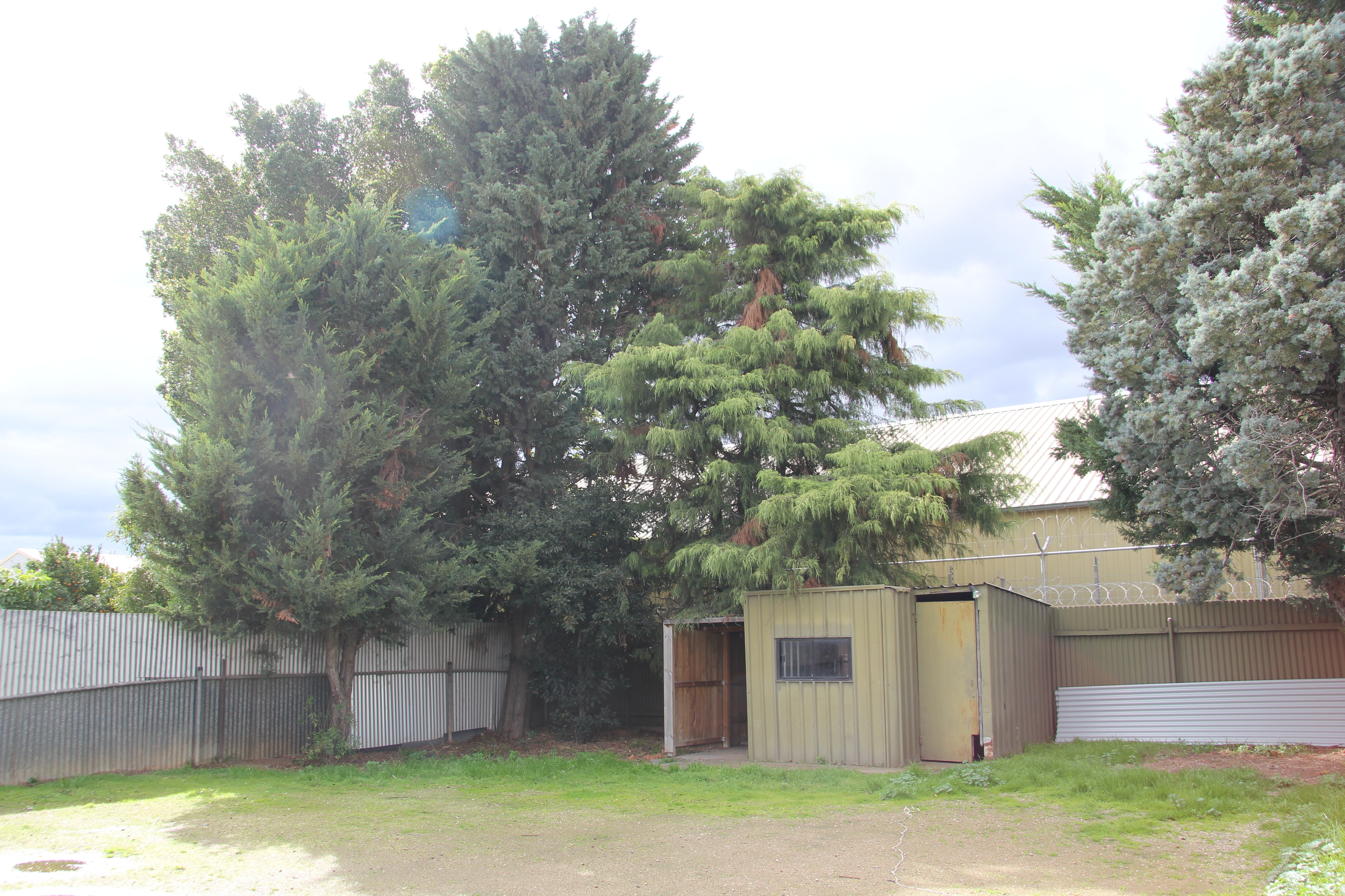 24  Ford Street  Ottoway 5013
