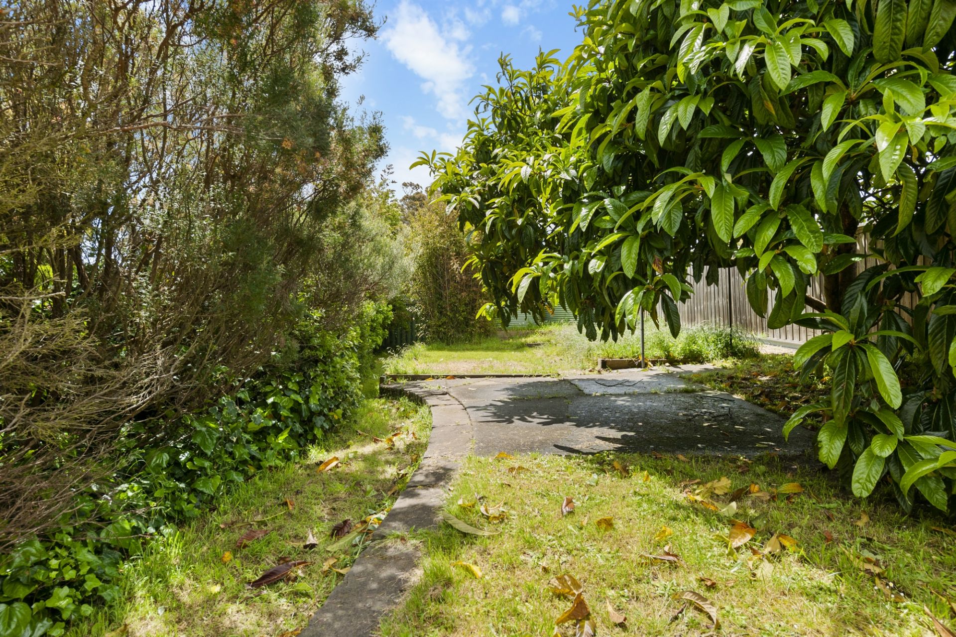 10 Jones Avenue, Mount Clear, Mount Clear, Mount Clear - Thumbnail 2