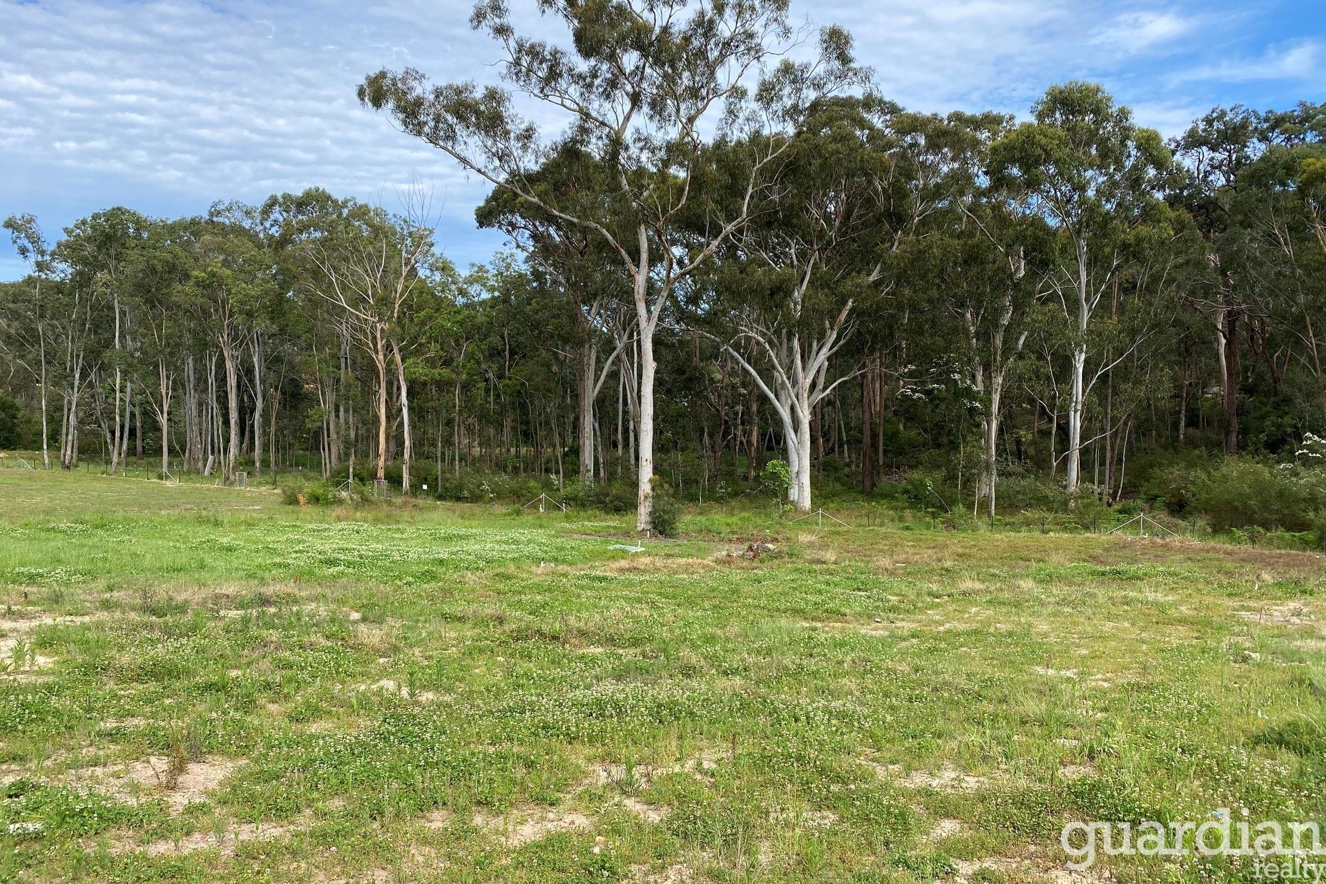 36 Expedition Street North Kellyville NSW, North Kellyville - Thumbnail 5