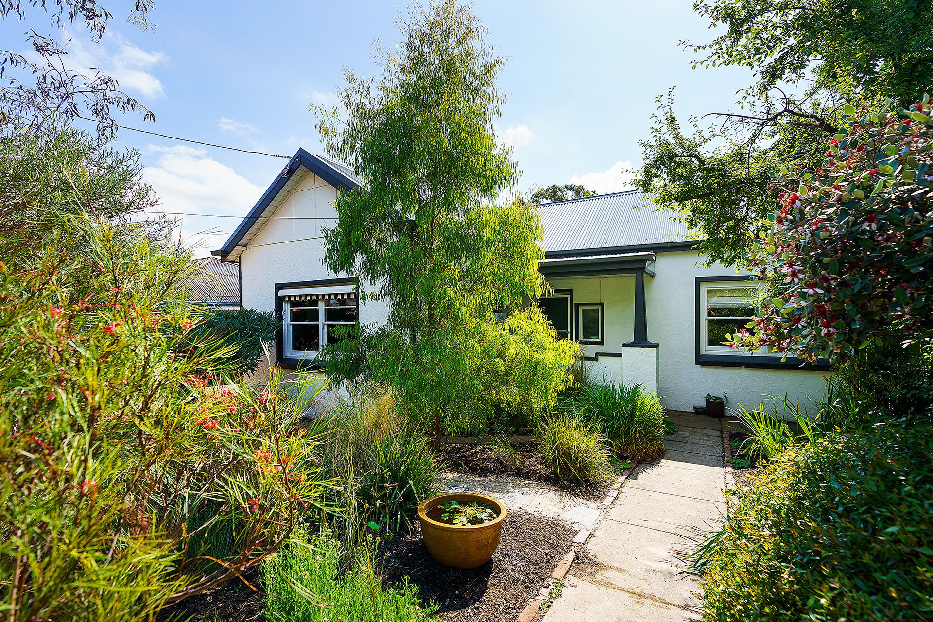 15 MacLise Street, Castlemaine - Thumbnail 2