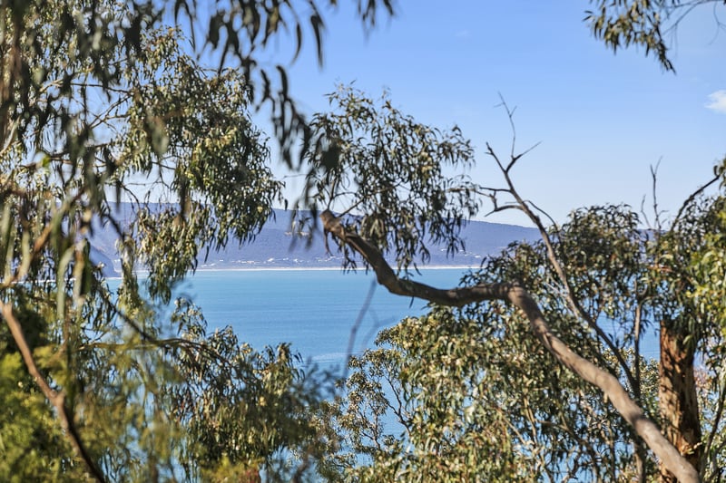 19 Alsop Street, Lorne, VIC, Lorne - Thumbnail 7