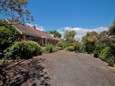 5
 
 
 
  
 
 
 1
 
 
 
  
 
 
 5
 
 
 
 
 
 
 
 54 Braddons Lookout Road, LEITH TAS 7315, Leith - Thumbnail 2