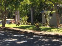 71 Nyes Crescent Buderim QLD, Buderim - Thumbnail 6