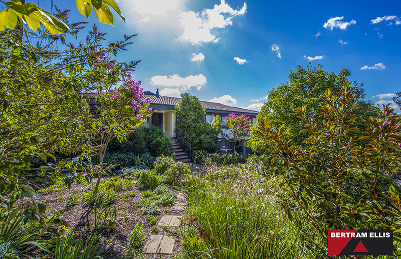 48 Ballarat Street, Fisher - Thumbnail 3
