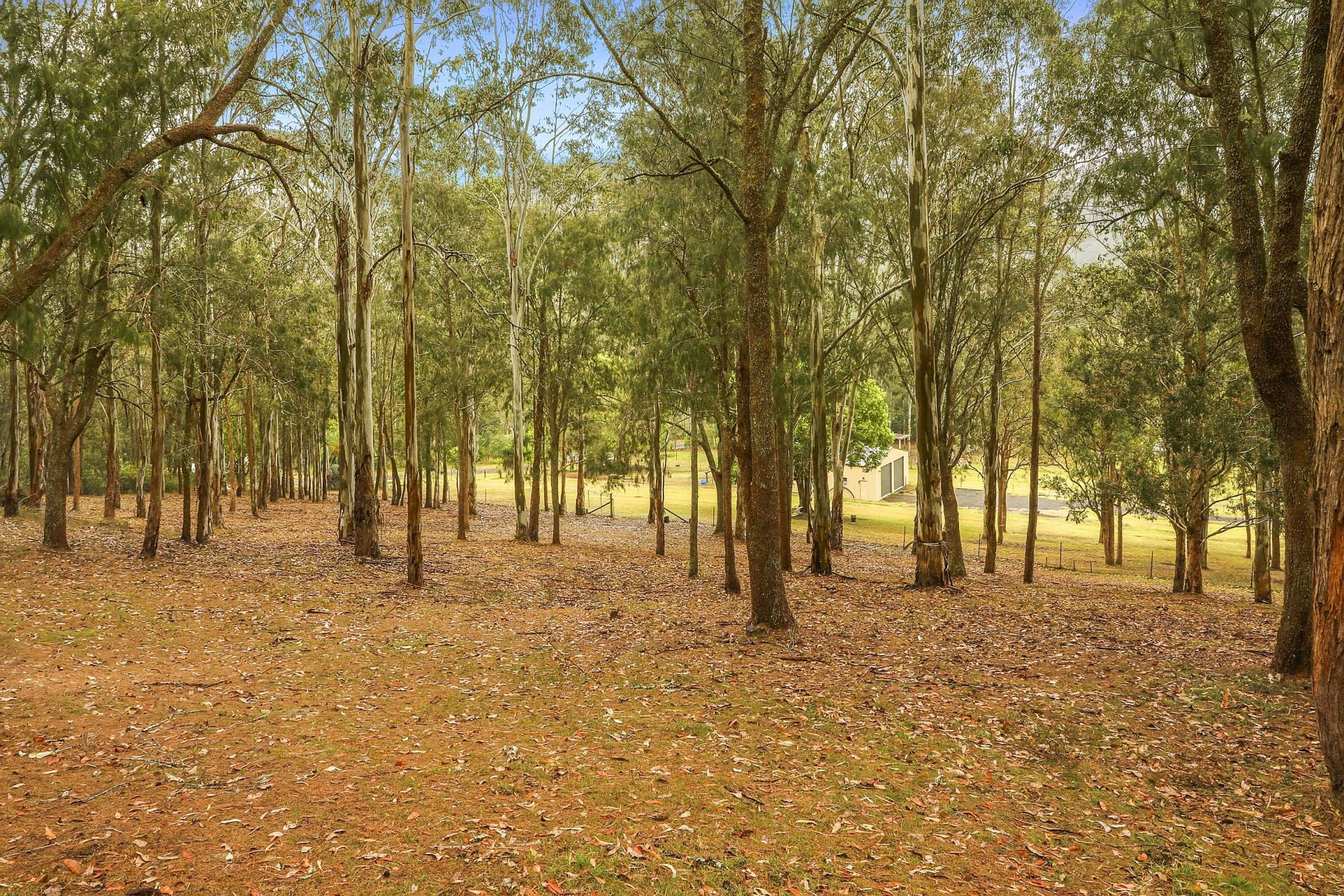 Real Estate For Sale 1380 Yarramalong Road Wyong Creek , NSW