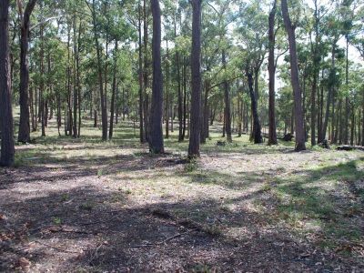 Lot 242 Millingandi Ridge Road, Millingandi