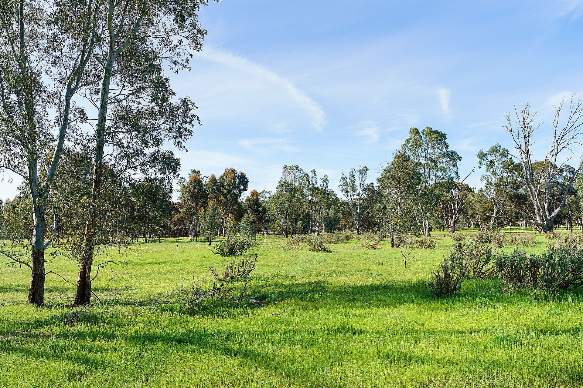 C/A 82A/ Bushby Lane, Dimboola VIC 3414