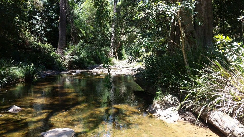 , YARROWITCH NSW 2354