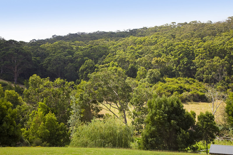 10 Joseph Court, Kennett River, VIC, Kennett River - Thumbnail 5