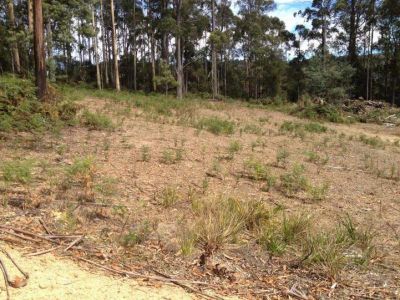 51 Wattle Valley Road, ACACIA HILLS, Acacia Hills - Thumbnail 5