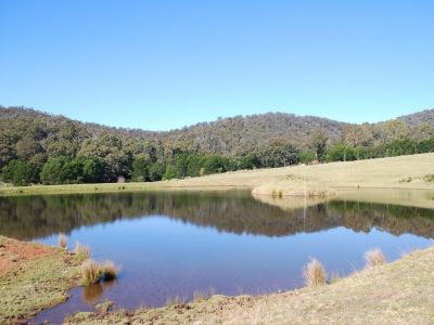 Lot 384 Mt Darragh Road, Lochiel