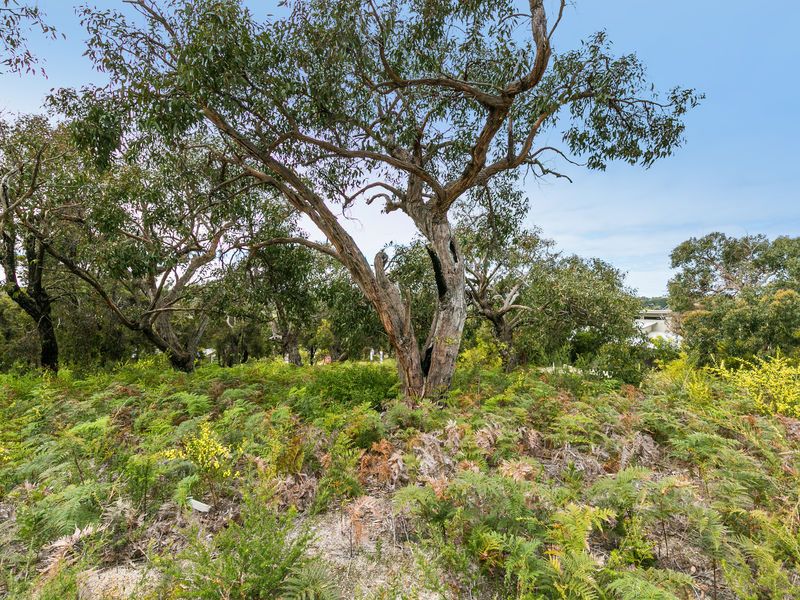 5 Narani Way, Fairhaven - Thumbnail 3