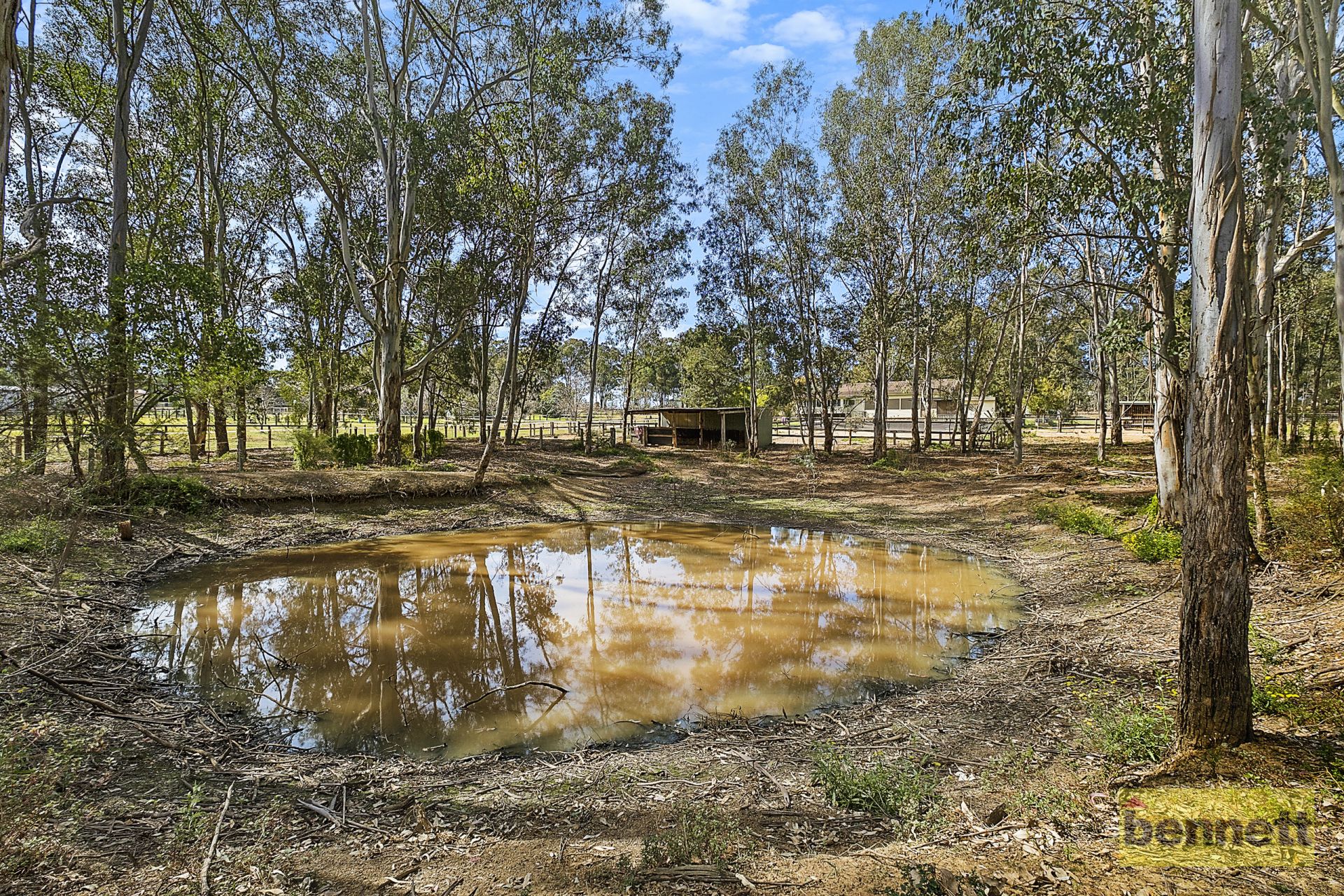 33 Reserve Road, Freemans Reach - Thumbnail 7