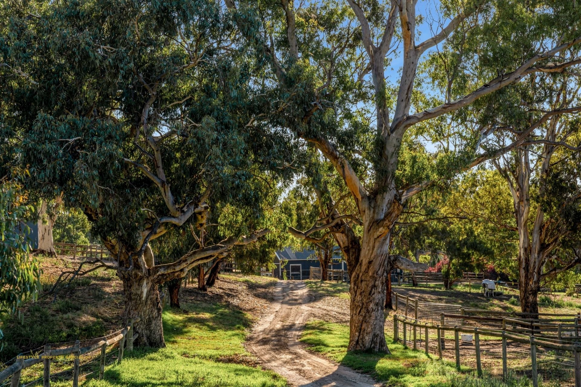 290 Gemmell Road, Macclesfield Williams Real Estate