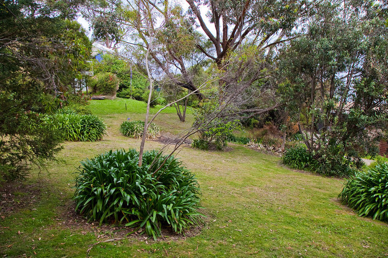 8 Mitchell Grove, Separation Creek, VIC, Separation Creek - Thumbnail 2