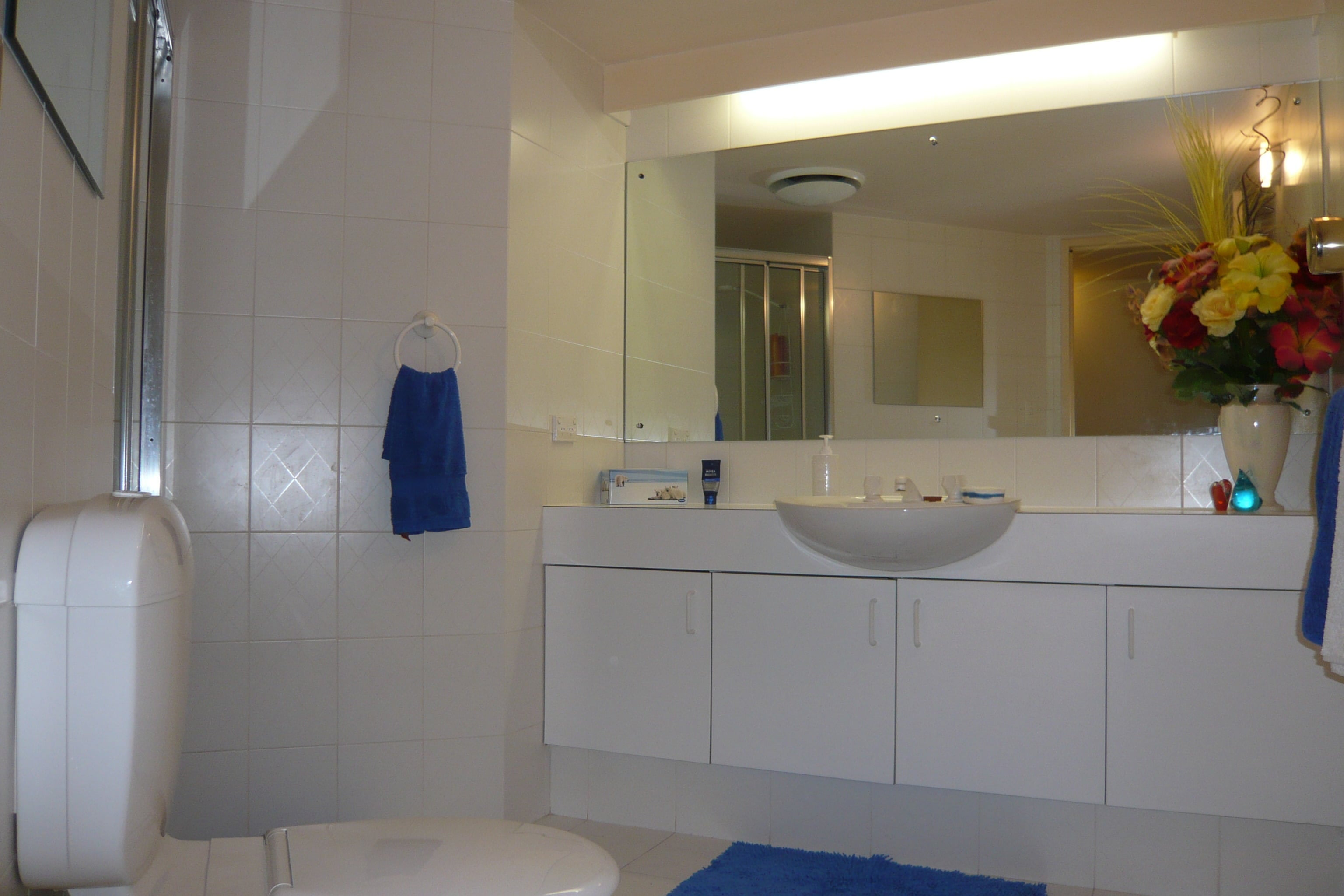 1/387 Halifax Street Adelaide 5000