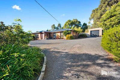 172a Stony Rise Road, Stony Rise, Stony Rise - Thumbnail 4