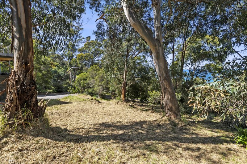 10 Cara Court, Kennett River, VIC, Kennett River - Thumbnail 3