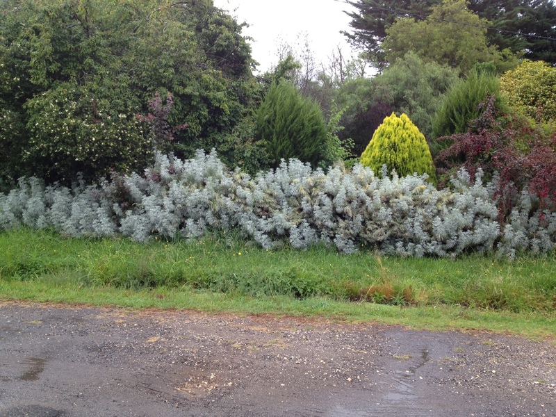 2250 Winchelsea-Deans Marsh Road, Deans Marsh, VIC, Deans Marsh - Thumbnail 2